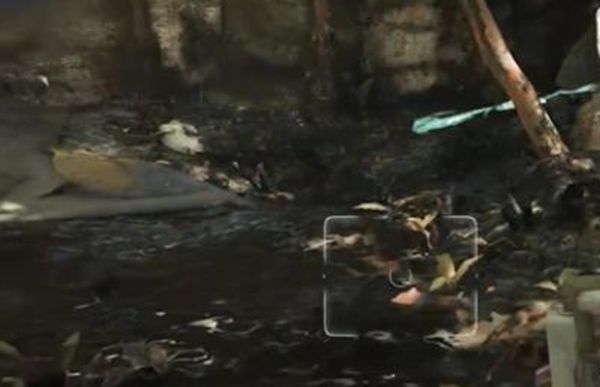 《阿凡达潘多拉边境》夺命狩猎支线任务全流程完成攻略4