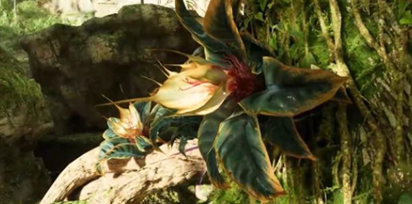 《阿凡达潘多拉边境》一路顺风第三部分全流程完成攻略7