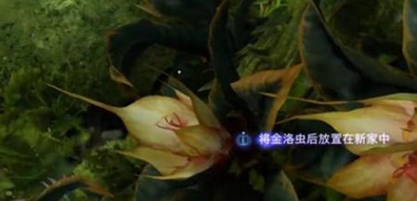 《阿凡达潘多拉边境》一路顺风第一部分全流程完成攻略8