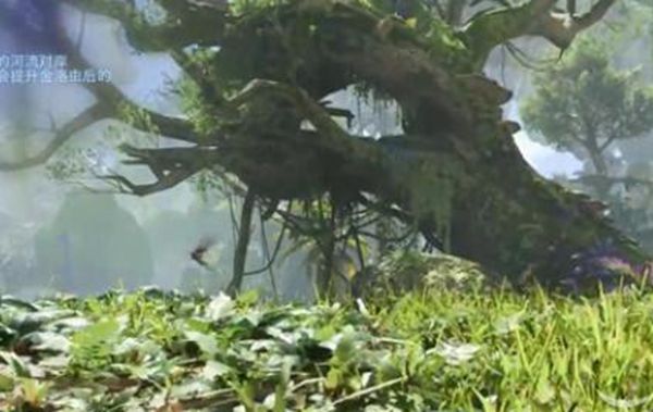 《阿凡达潘多拉边境》一路顺风第一部分全流程完成攻略11