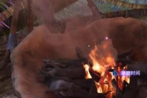 《阿凡达潘多拉边境》尼尔根的晚铃最佳完成攻略一览4