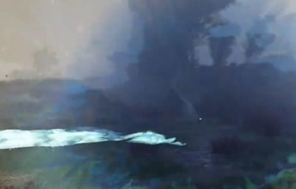 《阿凡达潘多拉边境》父亲的担忧最佳完成攻略一览7