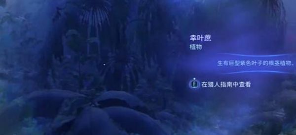 《阿凡达潘多拉边境》实地考察支线任务最佳完成攻略一览3