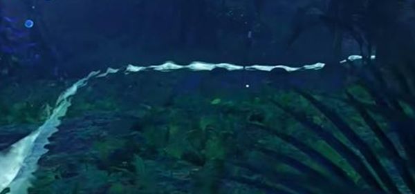 《阿凡达潘多拉边境》建造家园支线任务接取及完成攻略5