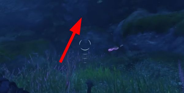 《阿凡达潘多拉边境》石云河谷图腾柱位置详细介绍3