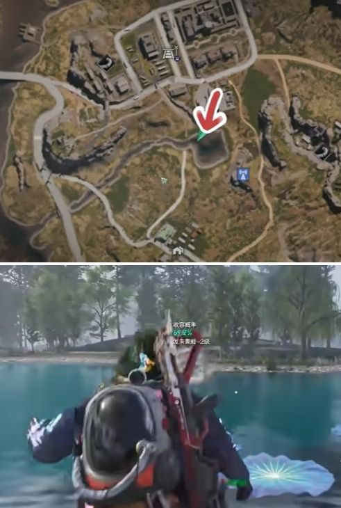 《七日世界》发条青蛙在哪得发条青蛙获取方法2