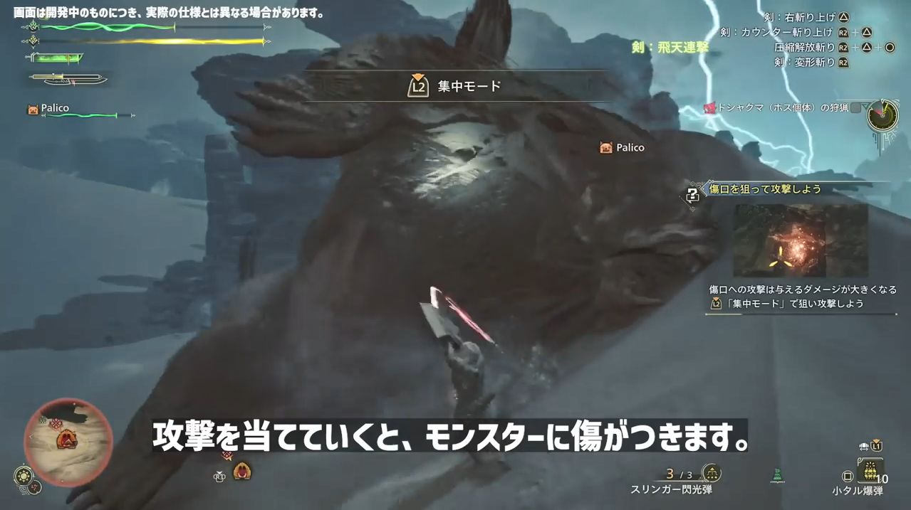 日媒《怪物猎人：荒野》新试玩曝光2025年发售9