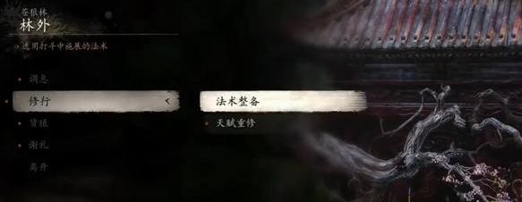 《黑神话悟空》天赋怎么重修天赋重置方法2