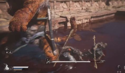 《黑神话悟空》虎先锋怎么打虎先锋通关攻略2