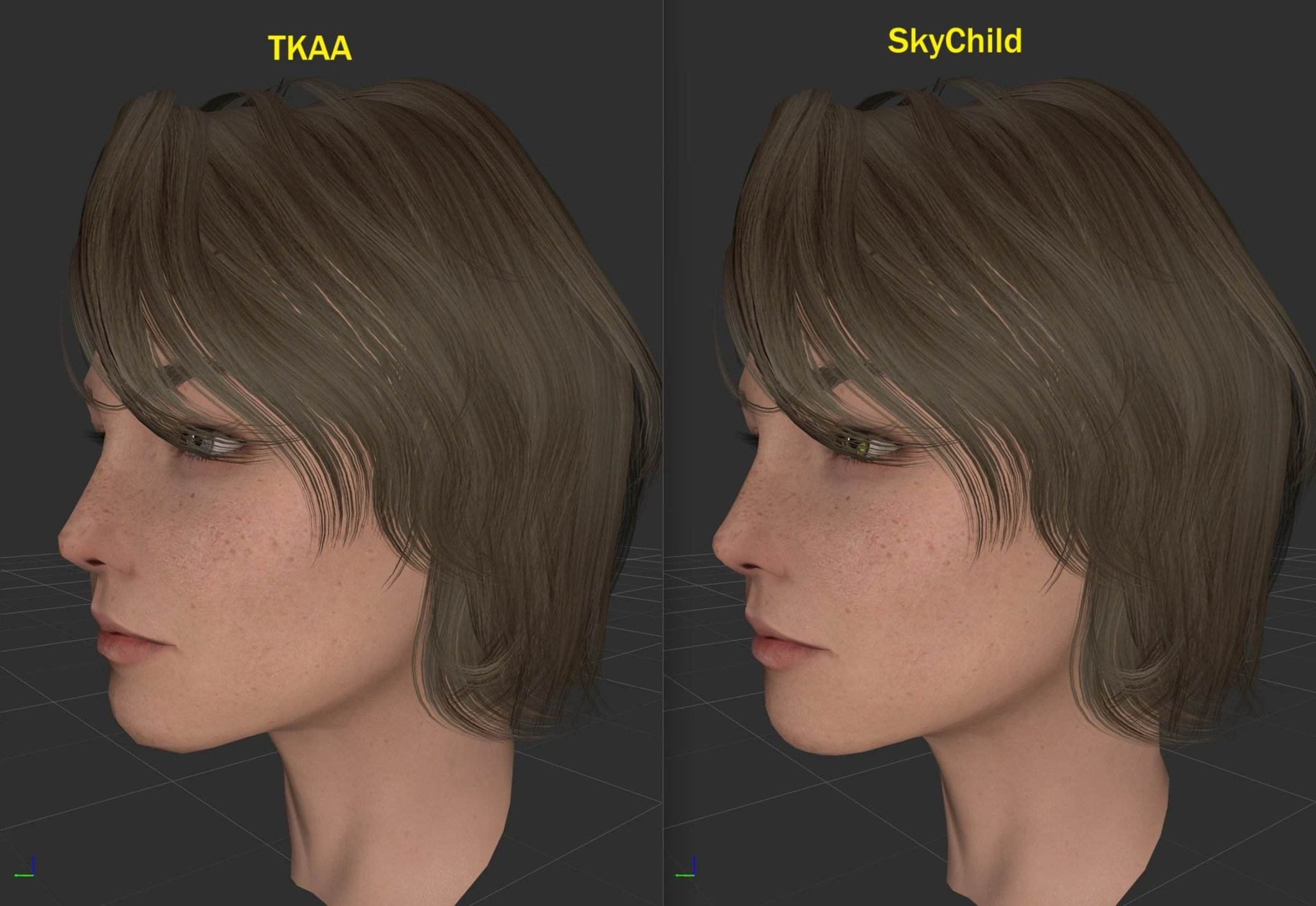 《上古卷轴5：天际》高清MOD儿童3D建模画质升级2