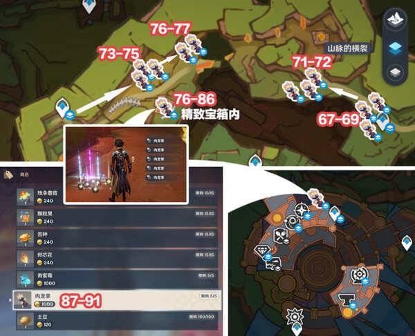 《原神》96个肉龙掌最佳采集路线一览5