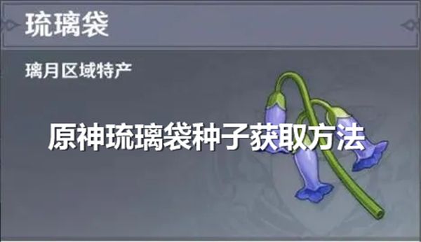 《原神》琉璃袋种子怎么获取琉璃袋种子获取方法1