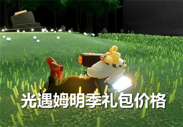 《光遇》姆明季礼包价格1