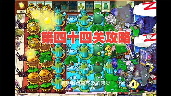 《植物大战僵尸杂交版》冒险模式第44关怎么过第44关通关攻略1