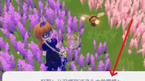 《心动小镇》熊蜂在哪熊蜂任务完成攻略4