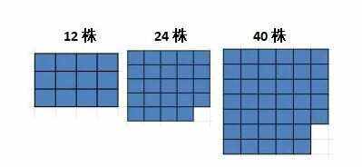 《心动小镇》杂交怎么弄触发花卉杂交保姆级攻略2