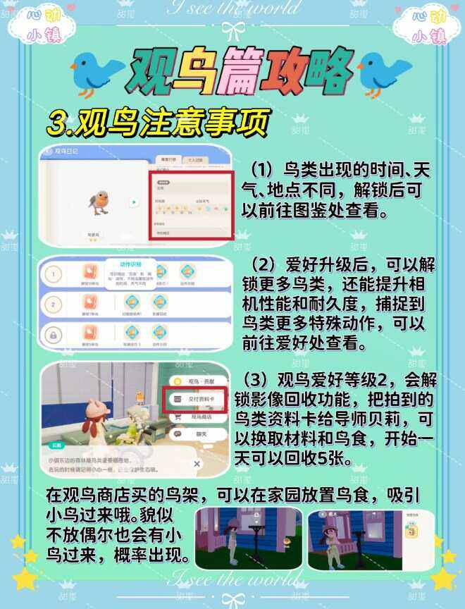 《心动小镇》观鸟爱好解锁攻略4