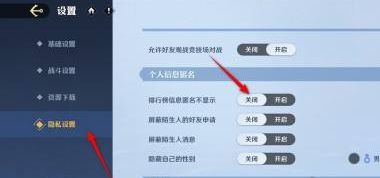 《航海王壮志雄心》排行榜信息怎么隐藏排行榜信息匿名不显示方法3