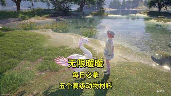 《无限暖暖》高级材料在哪里取高级材料获取攻略1