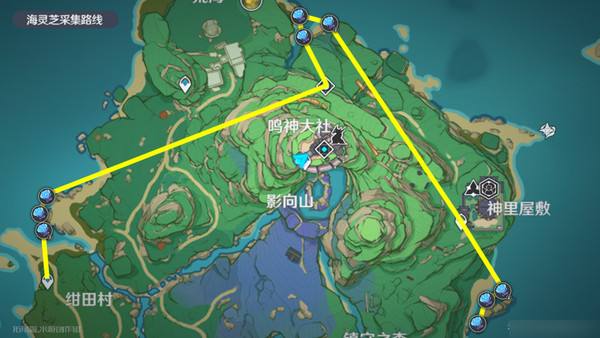 《原神》梦见月瑞希突破材料收集攻略梦见月瑞希突破材料在哪里13